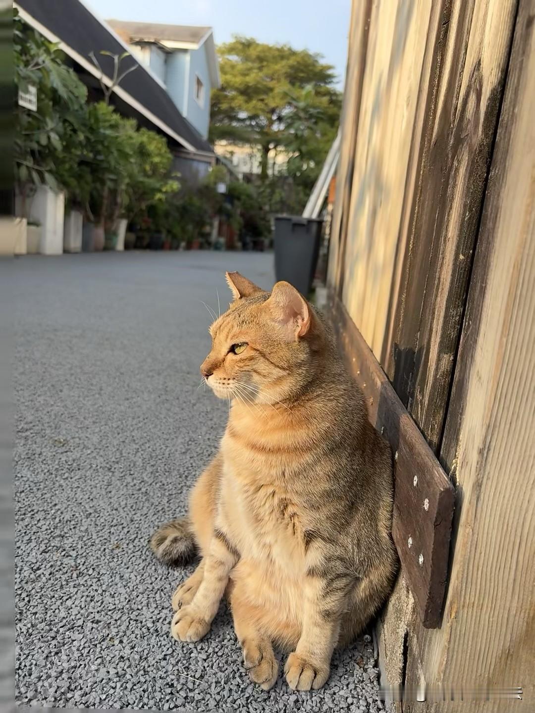 冬日生活打卡季