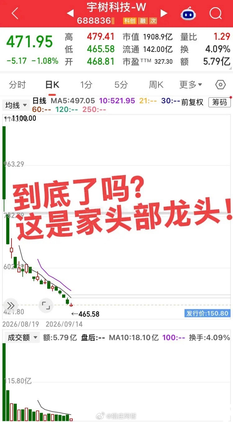 机器人领头羊宇树还在新低中！最高点1100元，目前472元，这还是一家盈利的头部