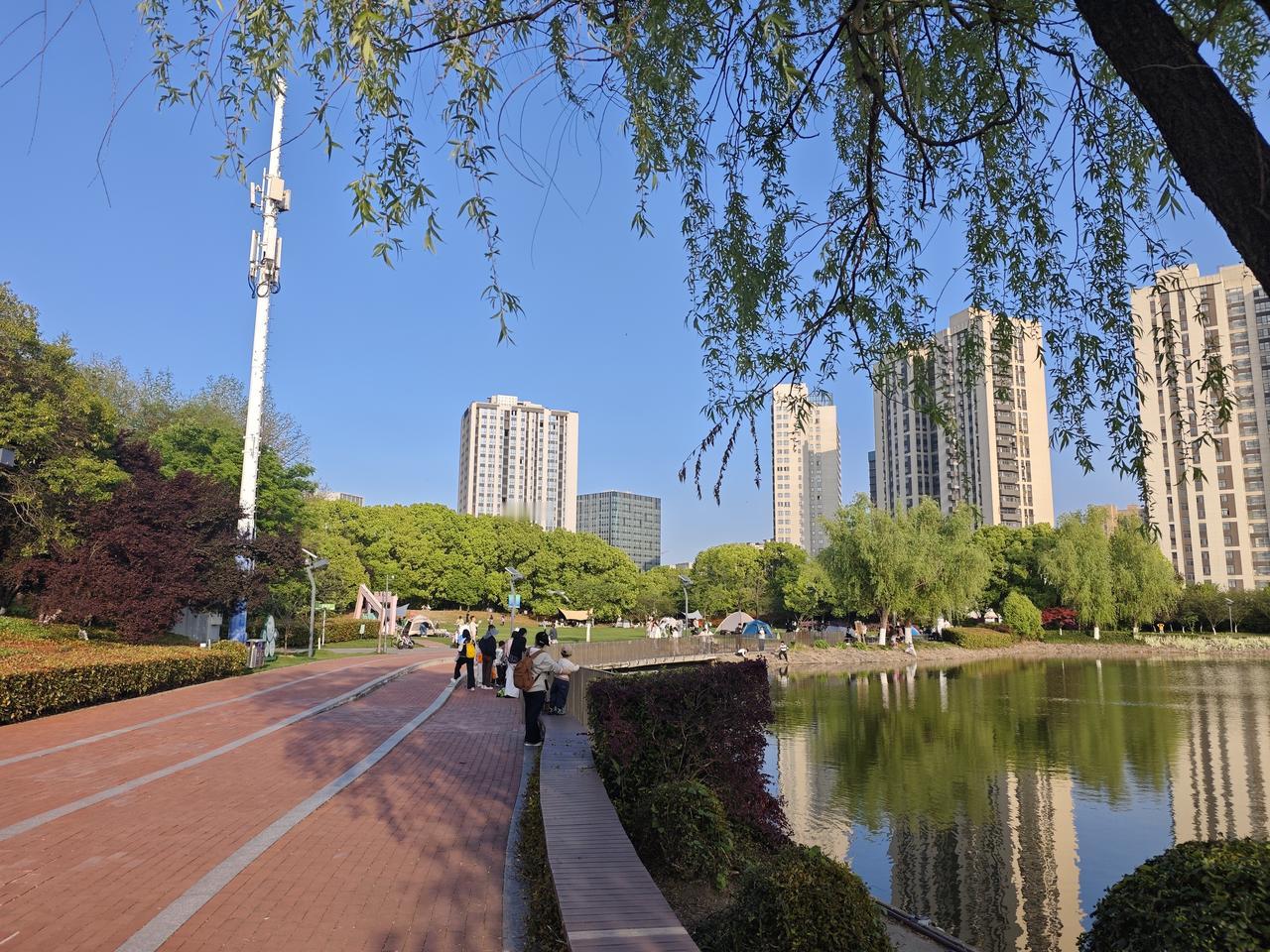 《晴湖闲步》
晴光铺岸柳垂丝，
湖镜平铺映碧枝。
亭下闲人抛俗事，
春风也爱趁晴