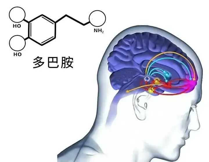 心理学有种现象叫“多巴胺戒断反应”。 快节奏的娱乐方式会刺激多巴胺加速...