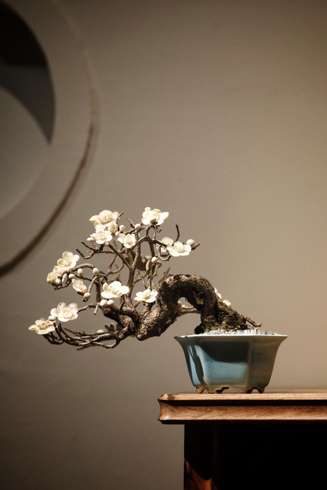 枯木×猛犸｜“咏梅”盆景取枯木之虬枝为骨，嵌猛犸之质塑梅魂，老干蜿蜒苍劲，梅朵冰