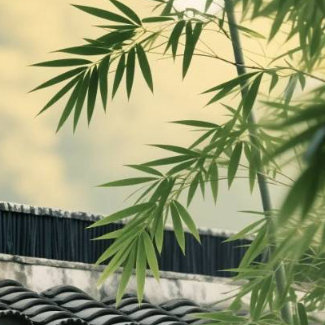信任是一缕春风，它会让枯藤绽出新绿；信任是一条纽带，它连结了无数心灵。信任又像绽