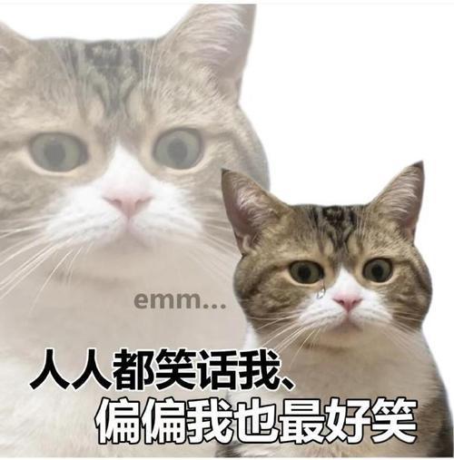 @头条创作训练营
今日份创作训练营作业来啦
[比心][比心]孕二胎生活小记录，孕