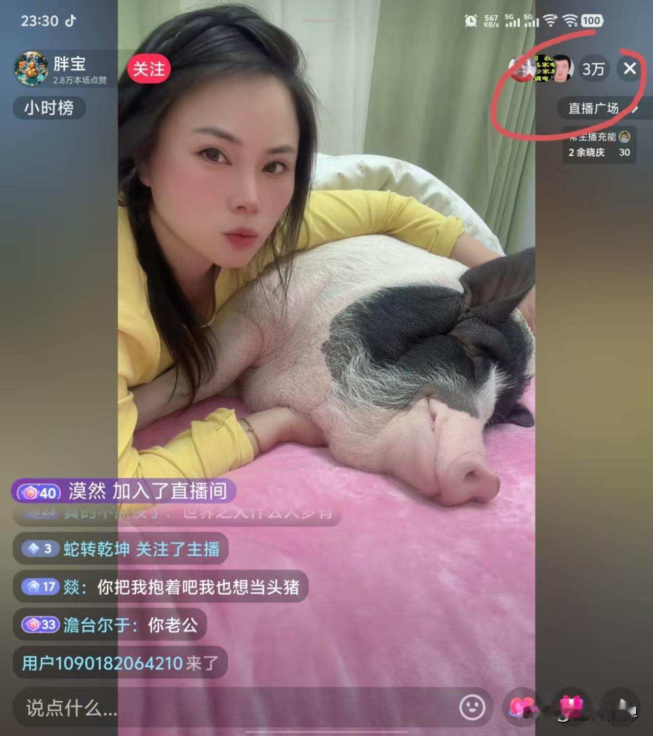现在的人太无聊了吧，一头猪放床上，竟然有三万多人同时观看……