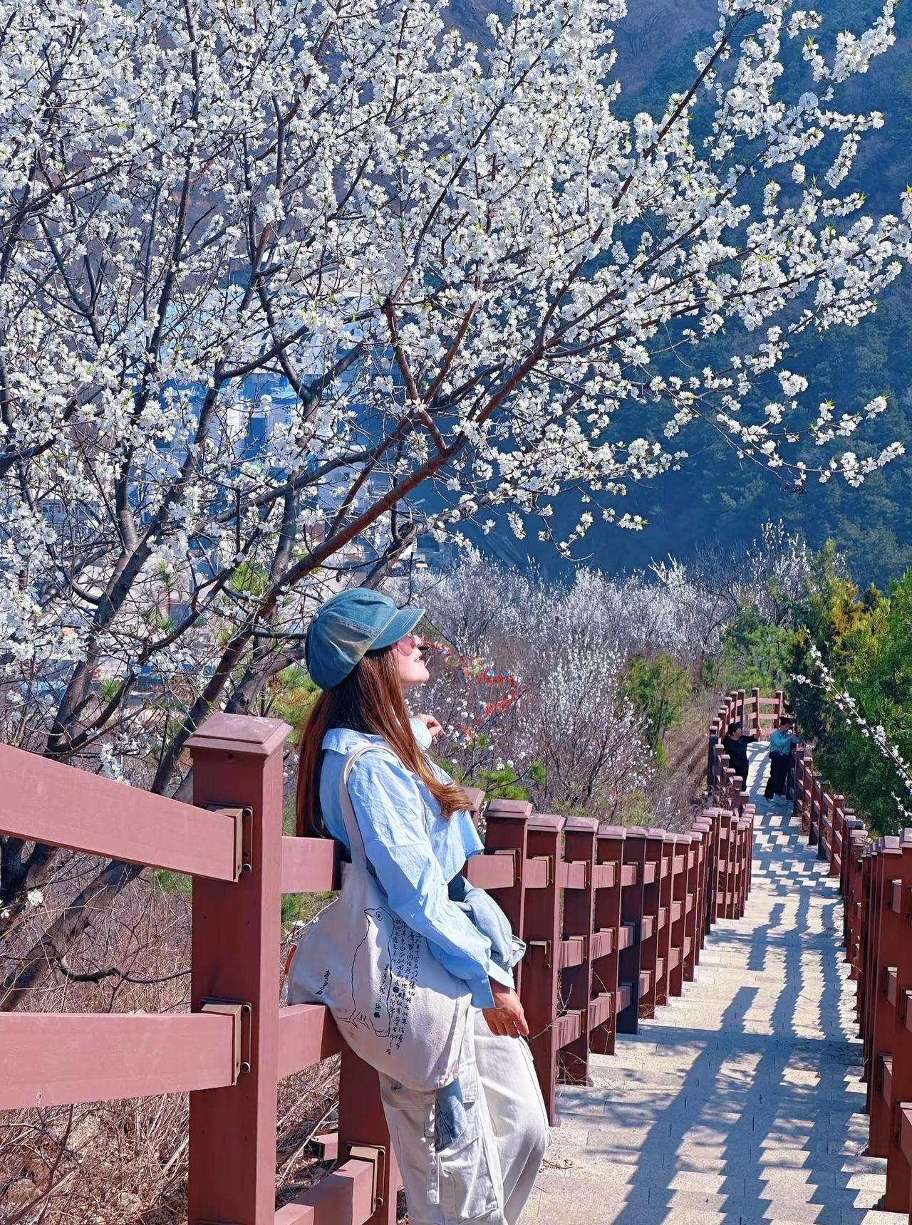 生活就是简简单单。抛开一切烦恼，此刻享受大自然的馈赠，脚步放慢心安就是唯一的答案