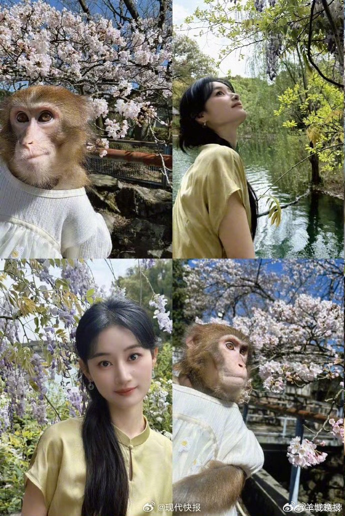 #郭晓婷模仿小猴拍四宫格#4月13日，发文：“喽喽美好一天，交换好运🍀周一好哇