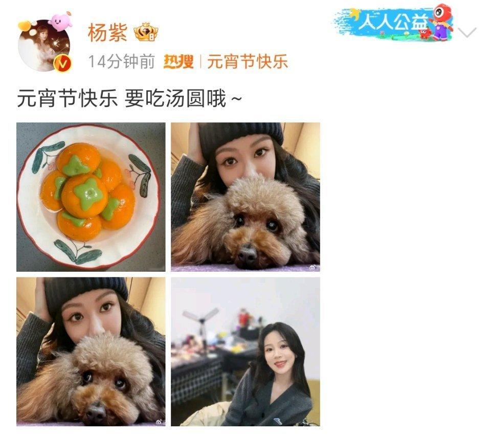 杨紫元宵节营业啦！紫妹祝大家元宵快乐2024柿柿如意，收到～～紫妹吃的什么馅儿的