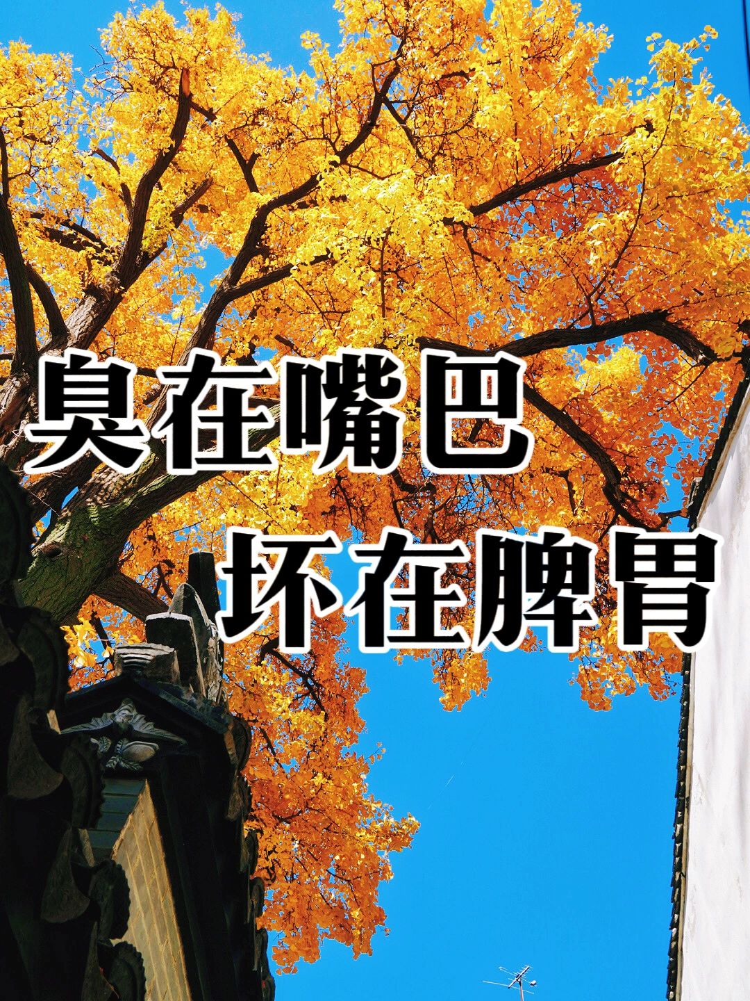 这个口臭方嘎嘎好用，已帮助9️⃣0️⃣0️⃣多人