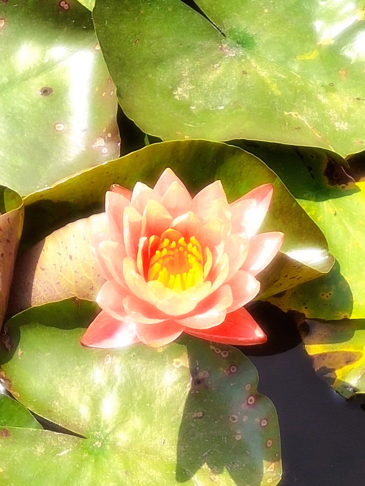 分享一张你最近随拍的照片