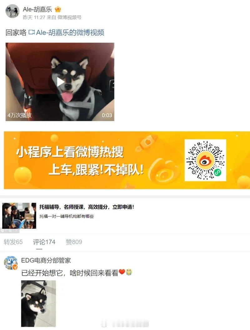 AL只是工作EDG才是生活？Ale微博认证变回EDG上单选手在LPL夏季赛季后赛