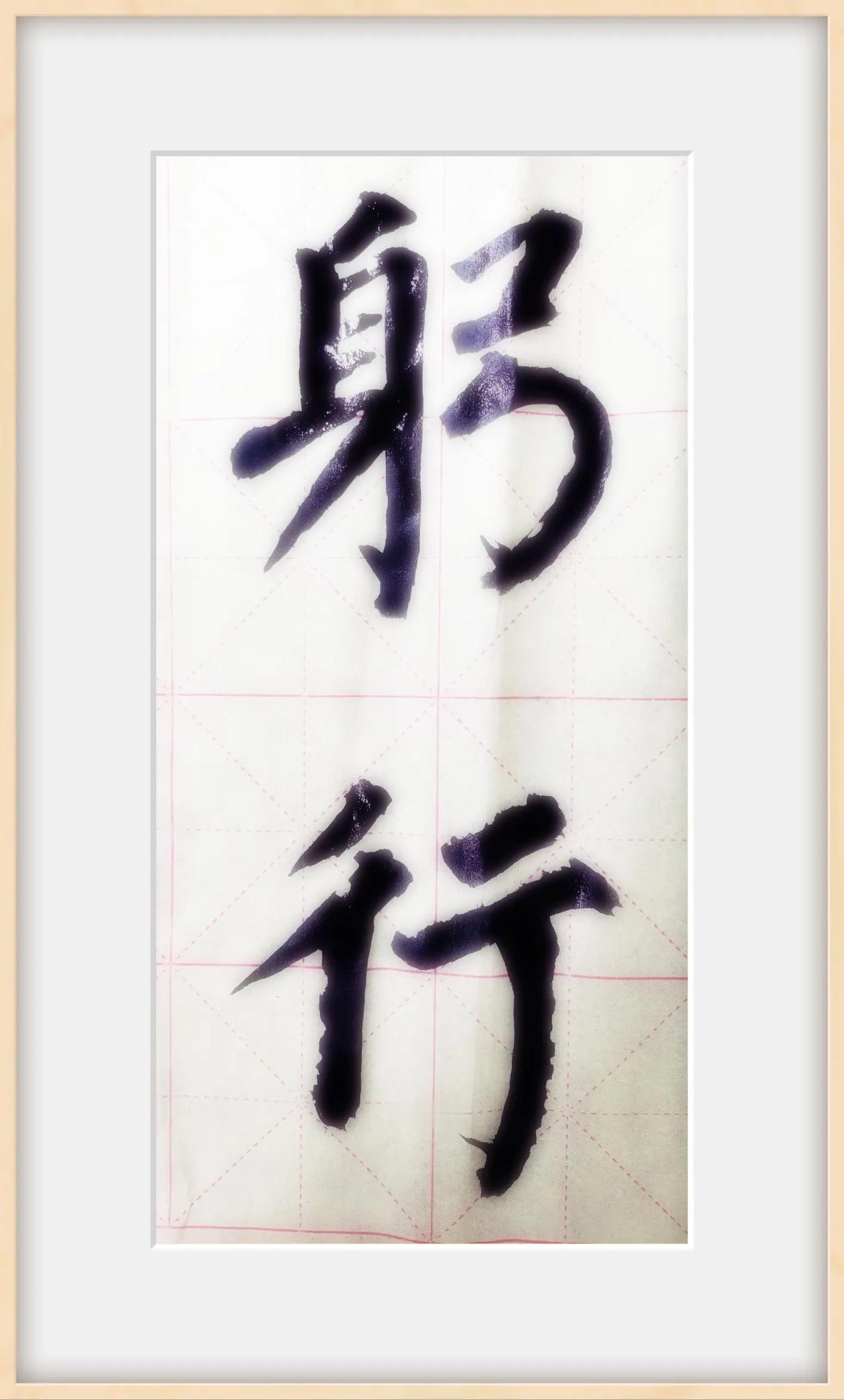 浮萍聚会终究散  风行万水越千山
知易行难千古事  谁肯躬行大梦还
#书法# #