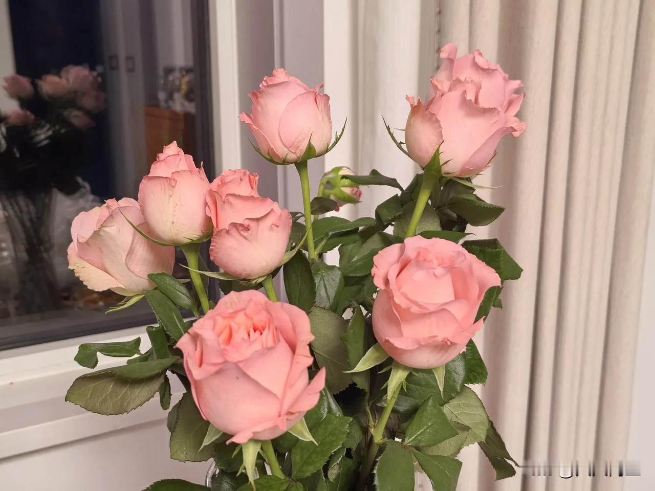 今晚看了一个视频，一位教育集团的总校长谈“办有温度的教育”，他说有温度的教育是自