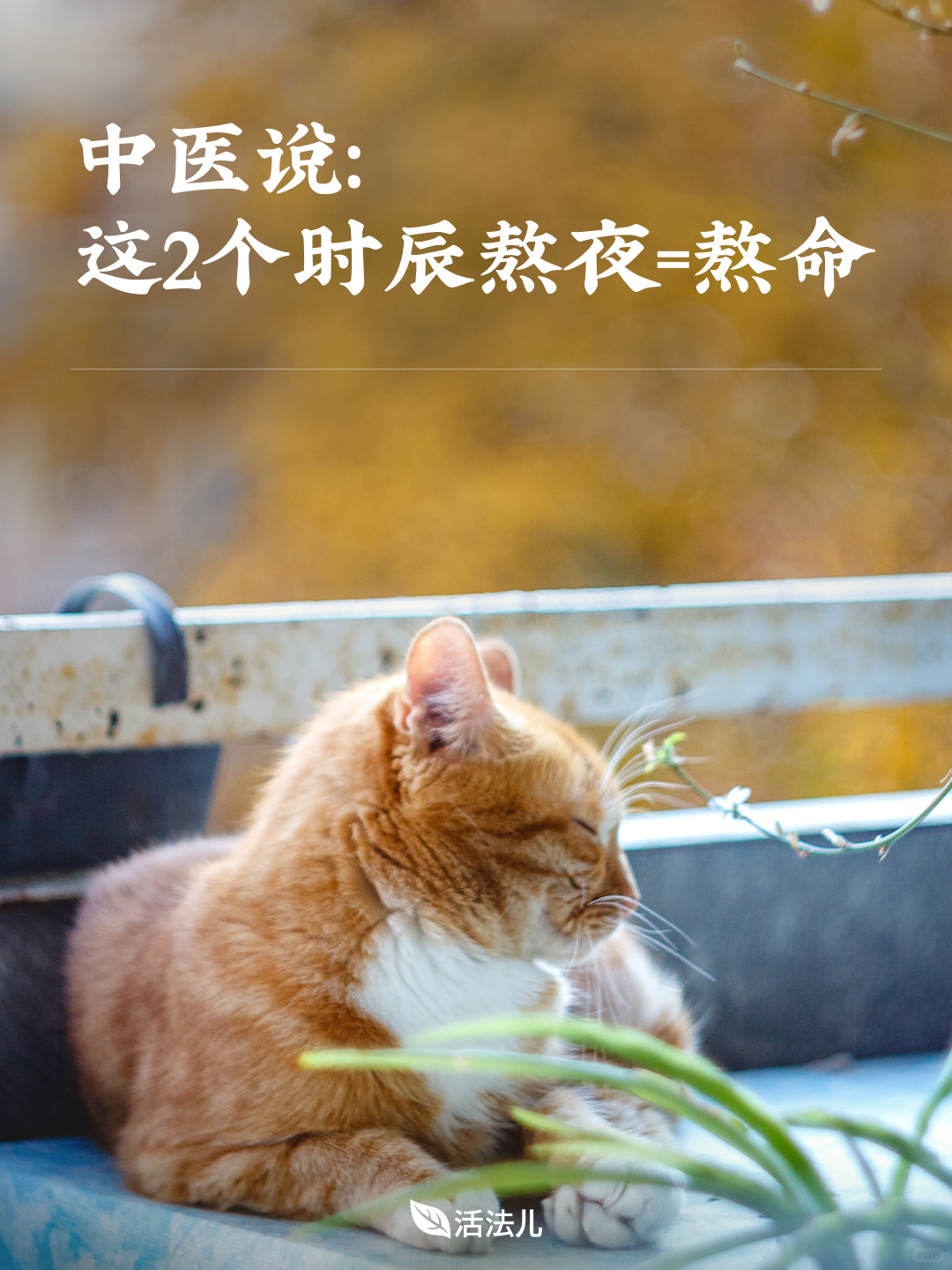 中医说：这2个时辰熬夜=熬命