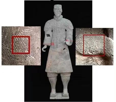 最新发现！秦兵马俑制作中女性和少年可能参与其中