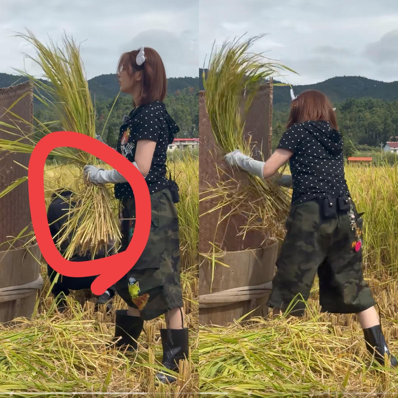 你可以说杨超越是个花瓶

你也可以说杨超越演技很烂

但是有一点是不能质疑的，杨