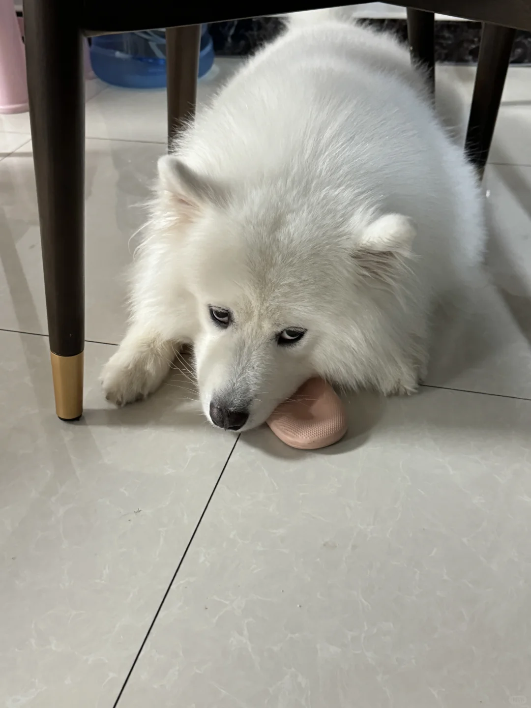 好好好，又整这出