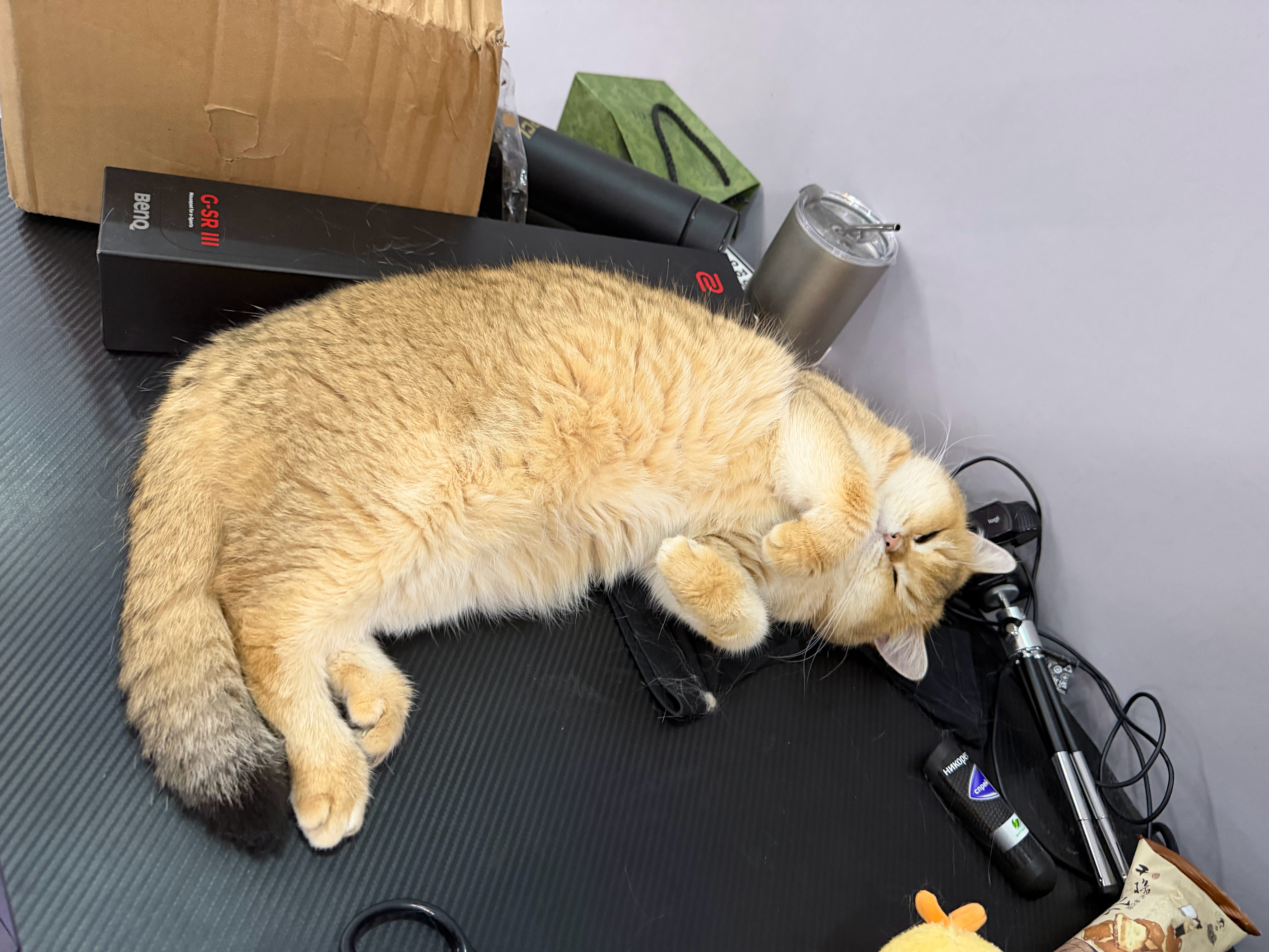 猫宁！又差点忘记更新了，都怪豆豆记性太差了！要骂就骂豆豆吧！