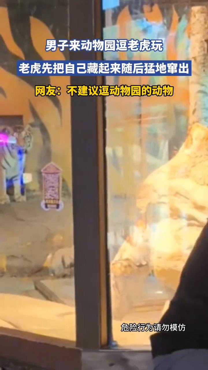 男子来动物园逗老虎玩，老虎先把自己藏起来随后猛地窜出。
网友：不建议逗动物园的动