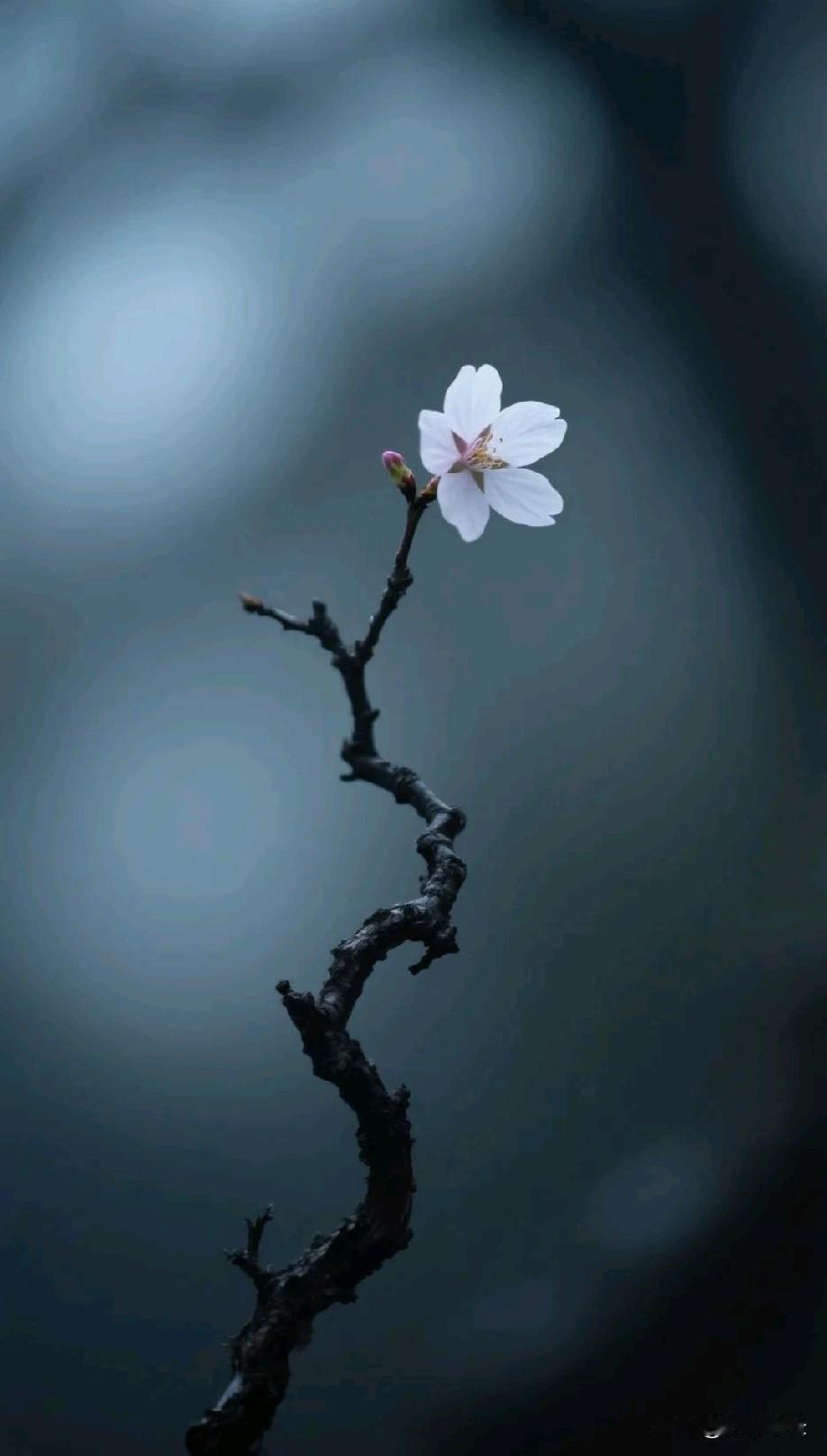 别吹牛逼，说句实话。当孩子成绩不好的时候，你的第一反应是什么？
1、平静如水，毫