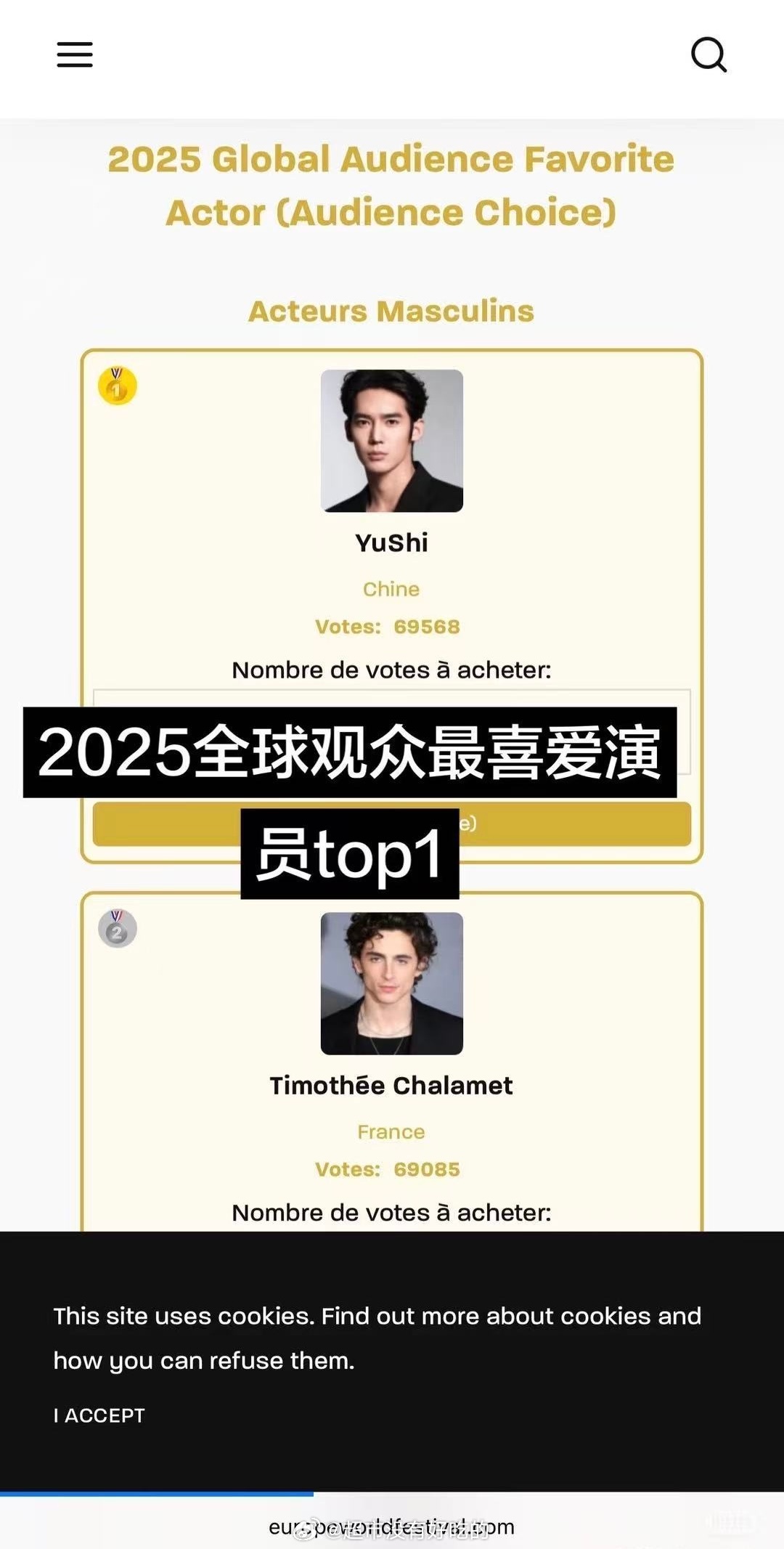 2025年欧洲世界电影节“全球观众最喜爱演员（观众选择奖）”于适获得了第一名的成