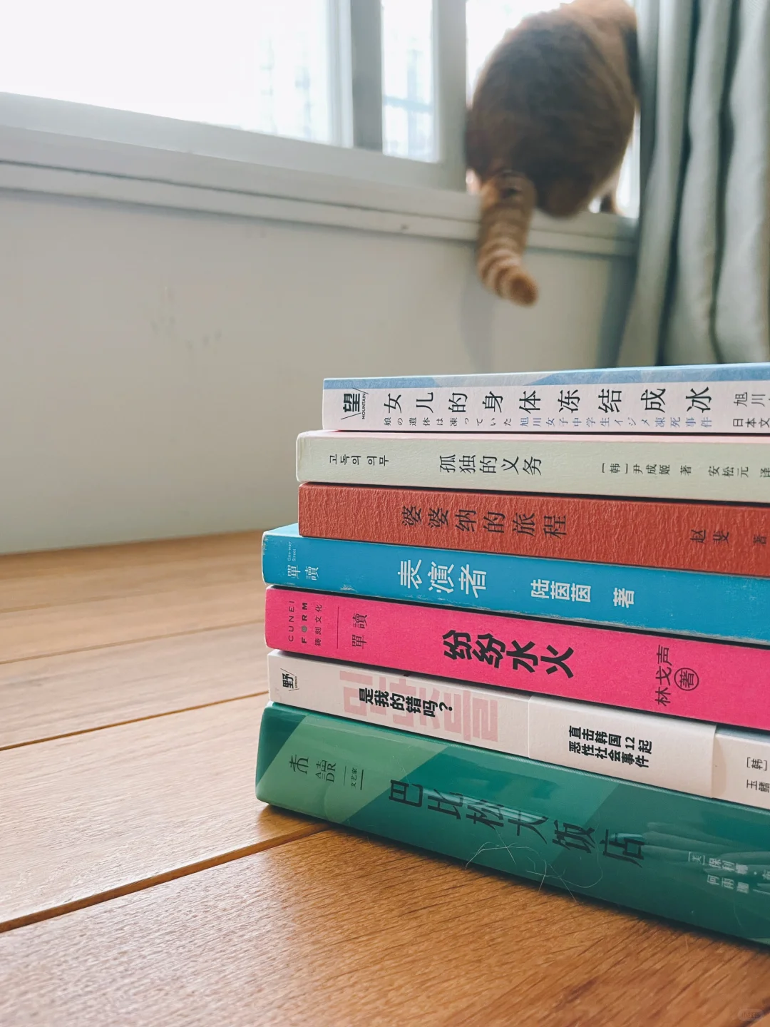 真实与虚构的模糊地带，是文学｜pdd