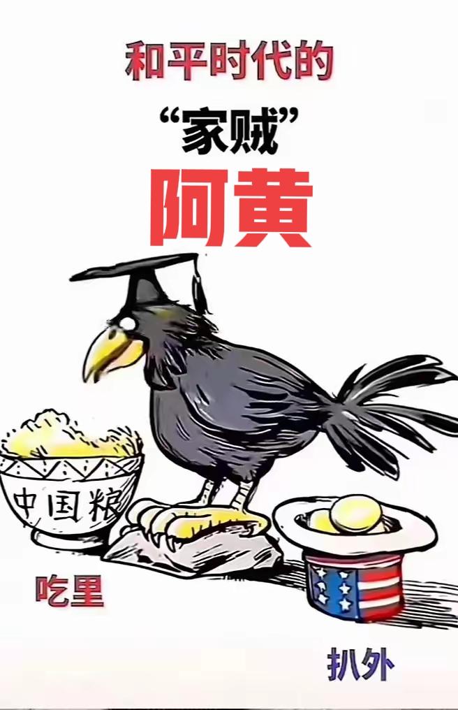 阿黄们，拉黑举报有用吗？你们是新时代的公知，这已经是网友们的集体共识！你们吃着中