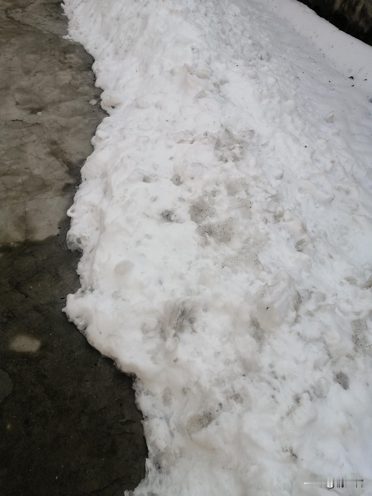 天寒地冻，还是被窝里最暖和
 
天寒地冻的日子，真的一秒都不想离开被窝！
 
窗