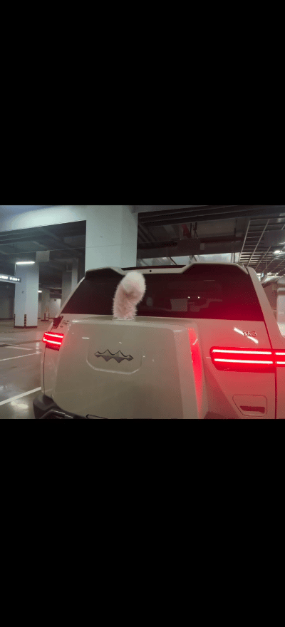 这。。。倒是和方程豹吉祥物很搭配。建议官方出个嗷