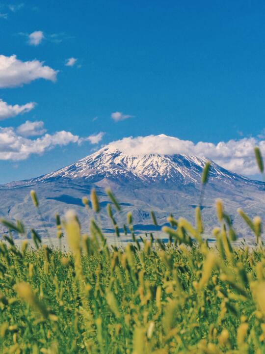 🇦🇲亚拉腊神山：亚美尼亚的灵魂图腾
