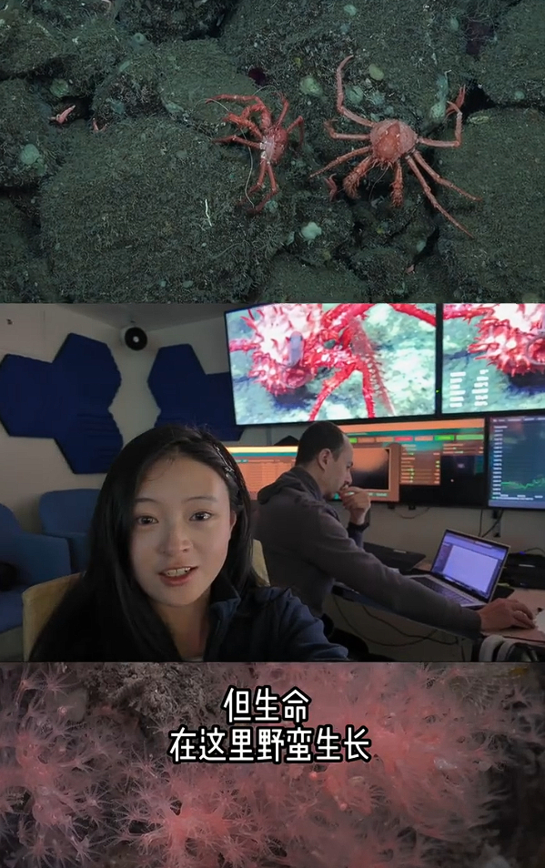 我也有一个坚持很久的小爱好，但从来不敢幻想当成主业，总担心爱好变成工作就会变质。