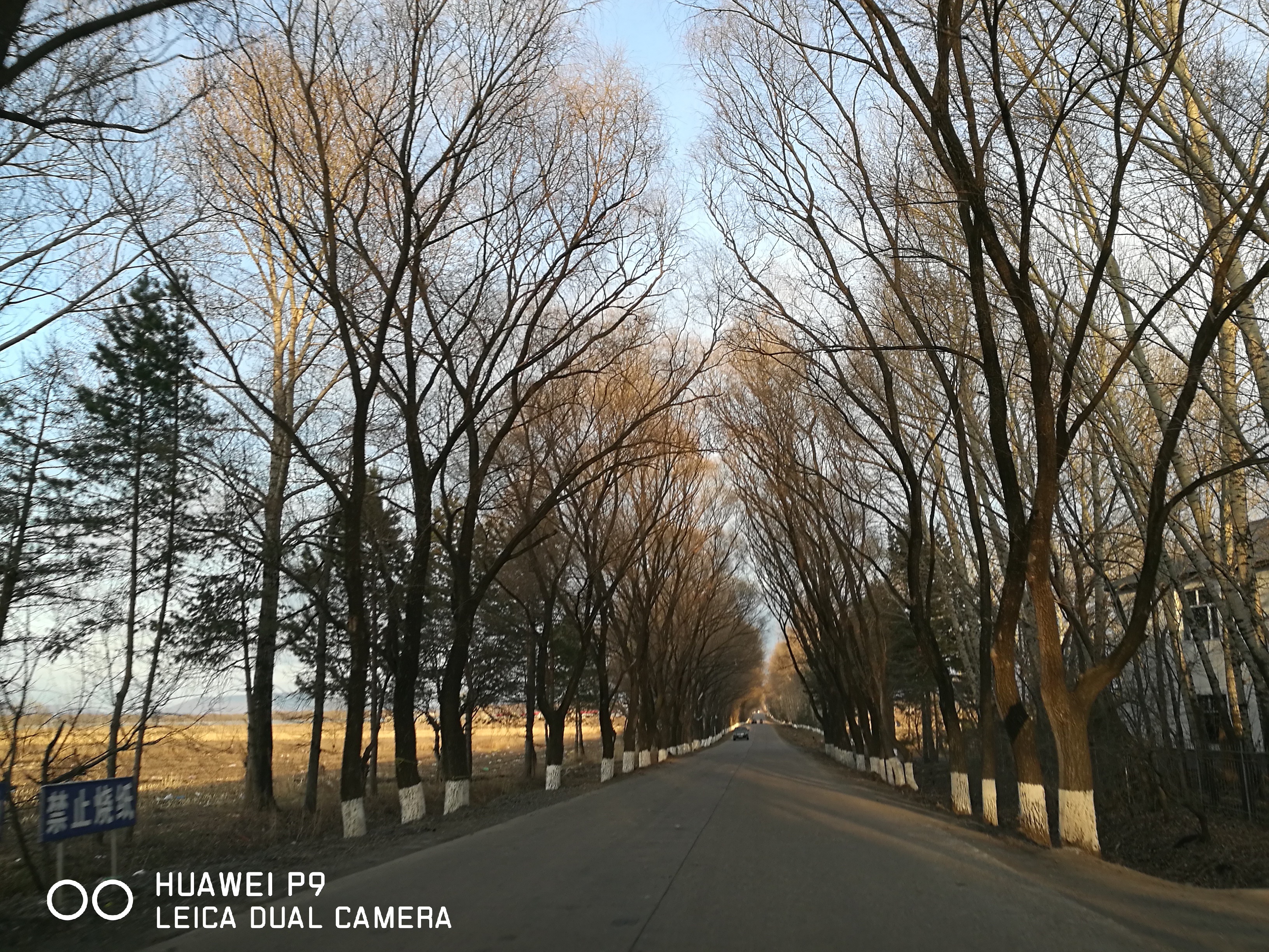 #做早饭时想# 这两天说东北，就有人说投资不过山海关，说东北人爱进体制，东北管理