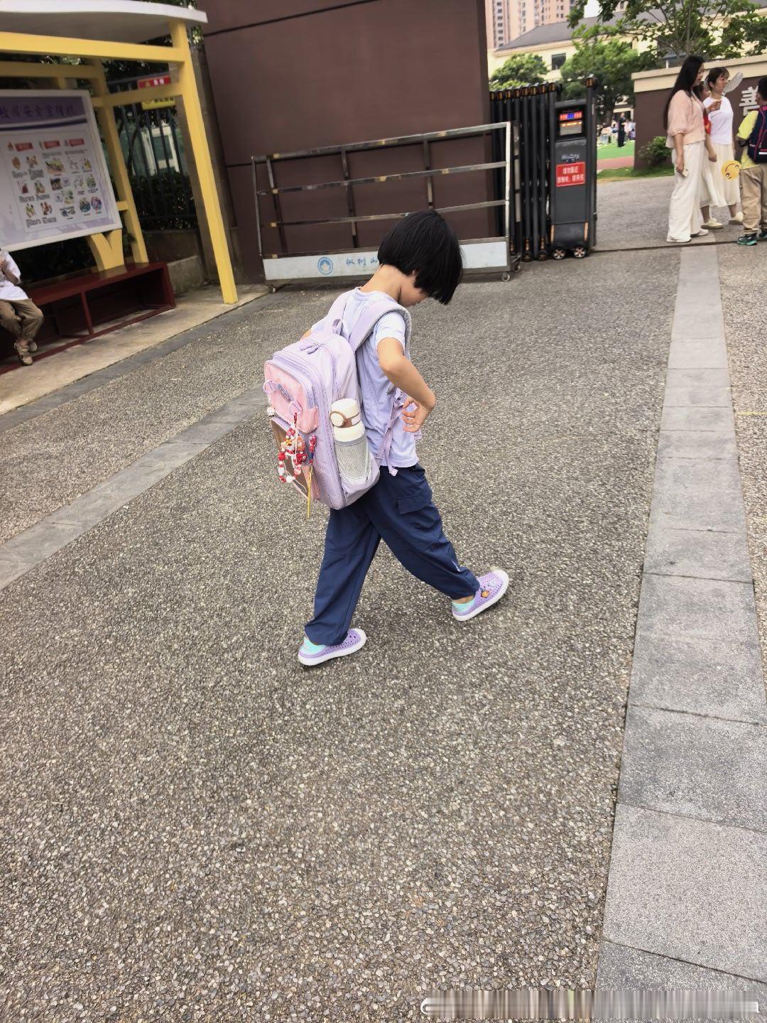 上学啦妮娜一家 饭团团日常