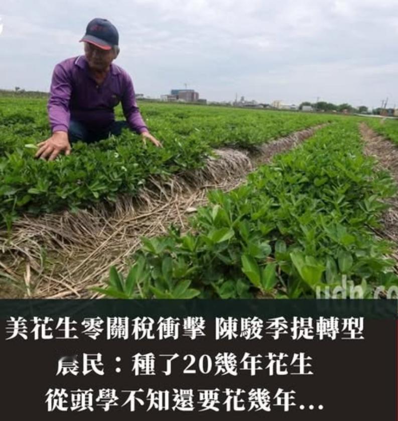 赖清德当局为了“跪美”说辞真多，害苦了百姓。美国花生零关税进口对台湾农民冲击大，