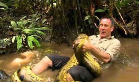 当你以为生活已经充满了不可预见的奇遇时，突然出现的那一幕，总能让人心跳加速。想象