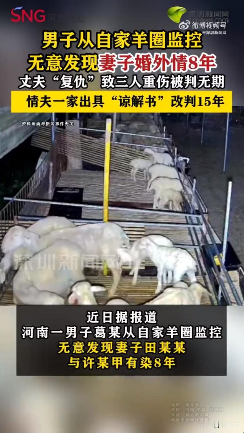 河南一起因婚外情引发的暴力报复案，看得人既唏嘘又警醒！男子看羊圈监控发现妻子婚外