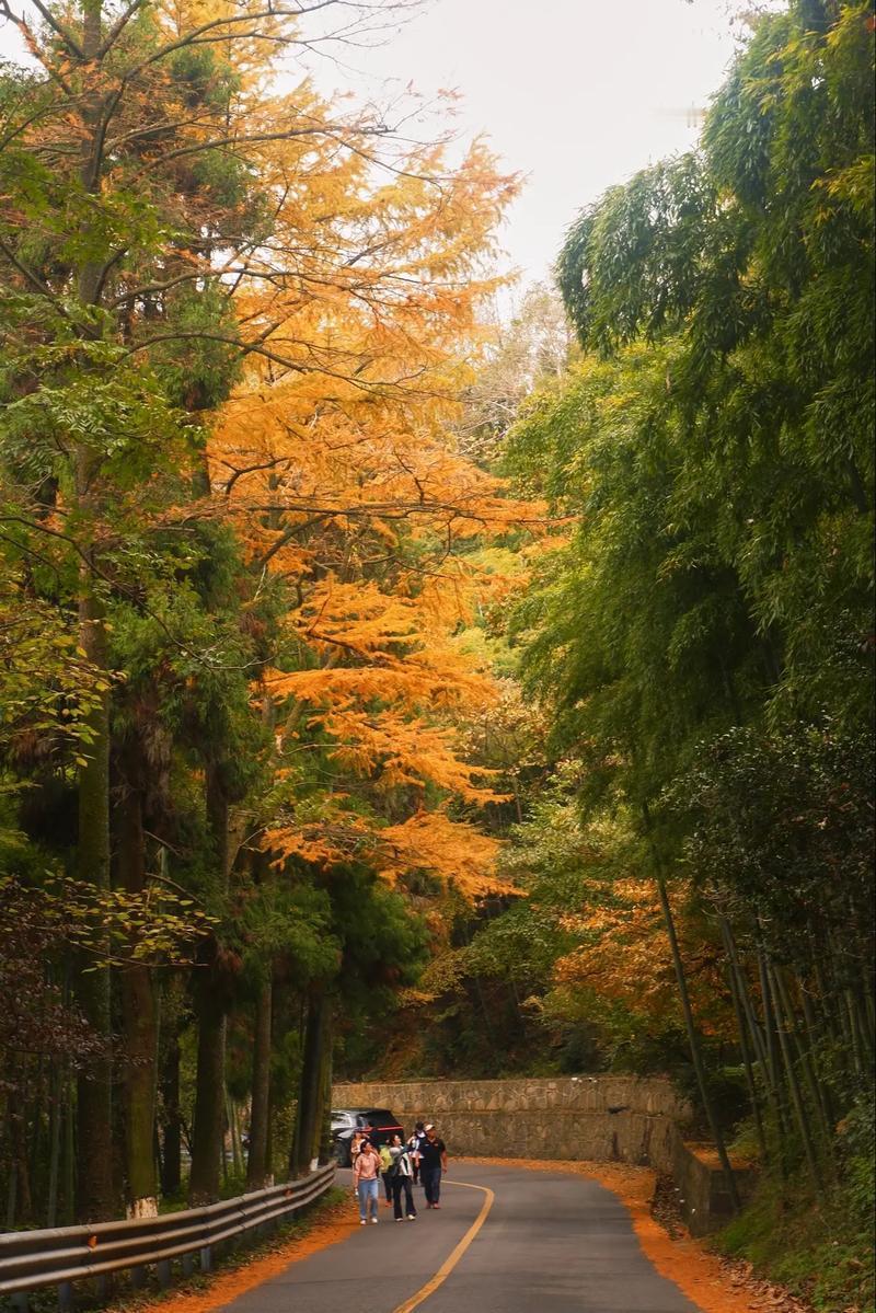 轱辘体：独品秋山落叶黄
一 
独品秋山落叶黄，瞬间滋味酿凄凉
人生坎坷征途远，步