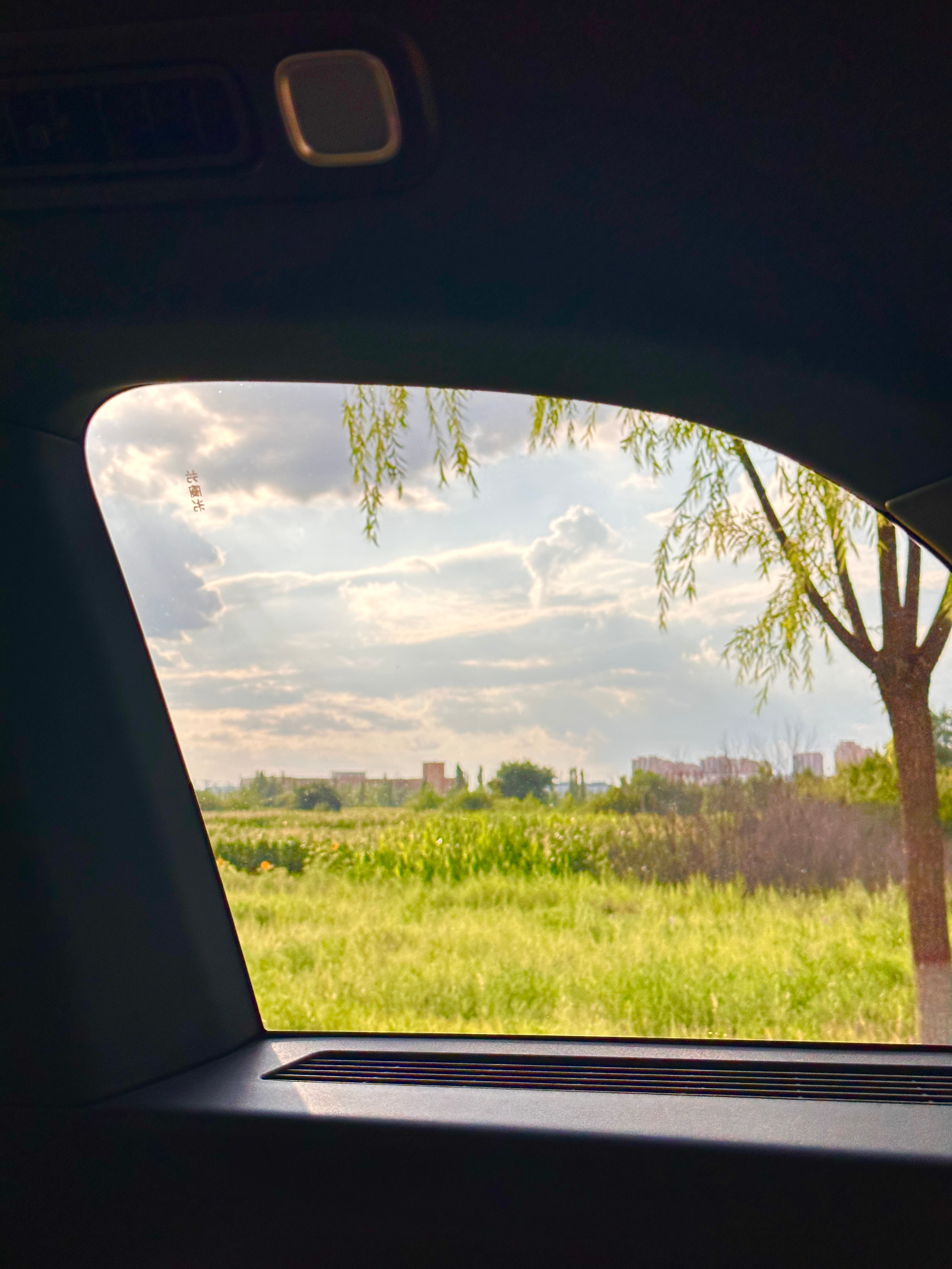 托尔斯泰说：“生命的意义在于能够自由的享受阳光森林，山峦草地河流，在于平平常常的