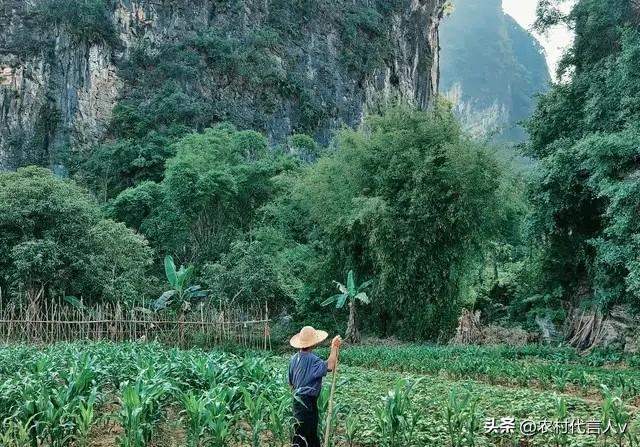 大伯走后的第三天，堂姐从深圳回来收拾房子，动作快得像在“清空库存”，七八个编织袋