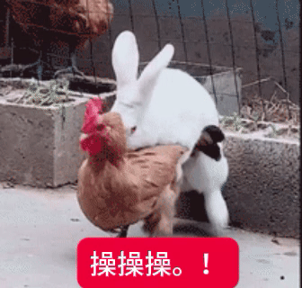 分享图片 