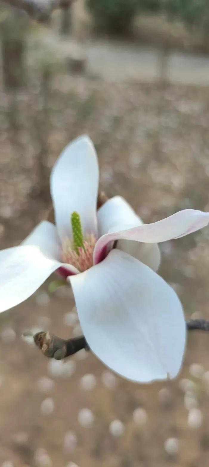 2026年1月28日写作第三天。这是不是大多数人的通病？

昨天晚上失眠了。
