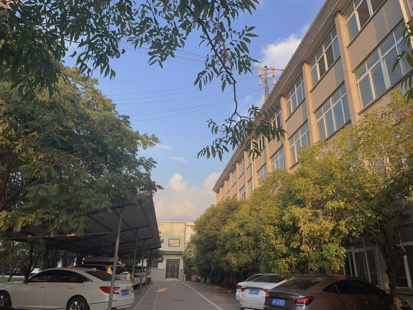 捕捉日落前最后一抹阳光☀️