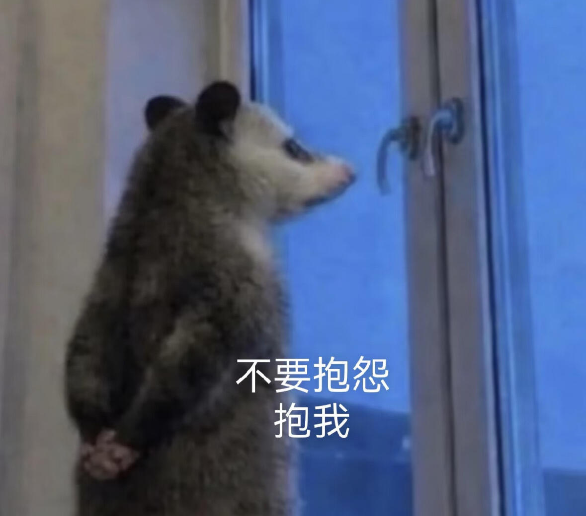 哦，可能养不好了，要做6天智库…随缘吧 