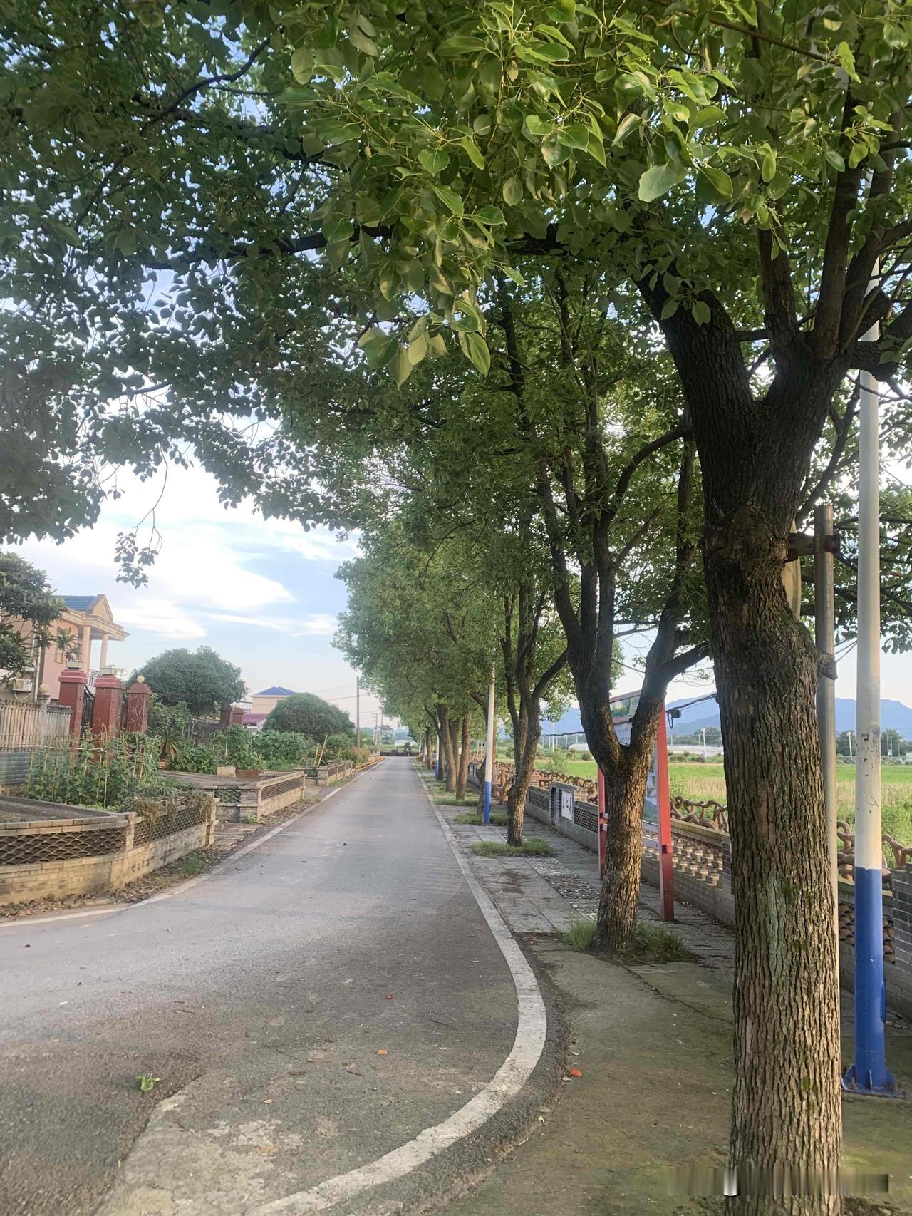 什么是一个写作者的才华？

很多人误以为，写作者的才华就是辞藻华丽、下笔千言、七