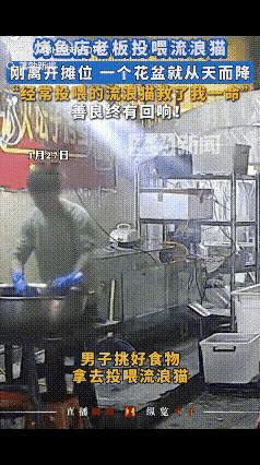 “你的善良，真的能救你的命！”贵州烤鱼店老板好心喂猫，刚走开一秒，一个花盆“砰”