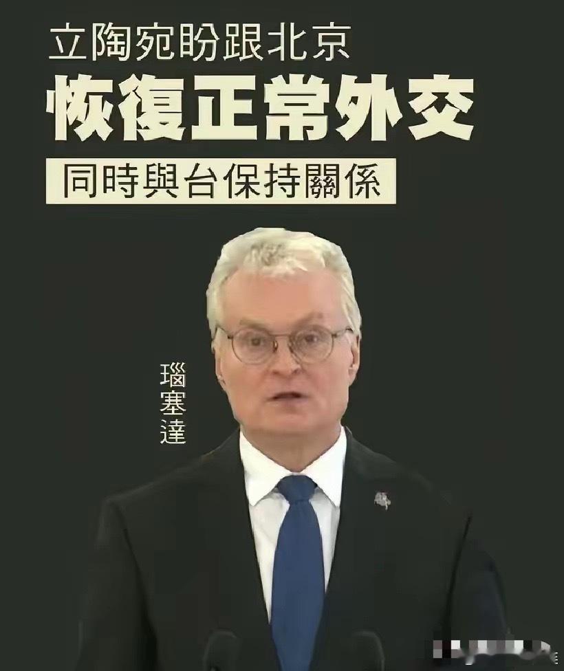 这个家伙脑袋绝对被塞住了，脑血栓重症患者你看看他说的是人话吗？立陶宛盼望和中国恢