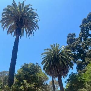 期刊论文指导编辑