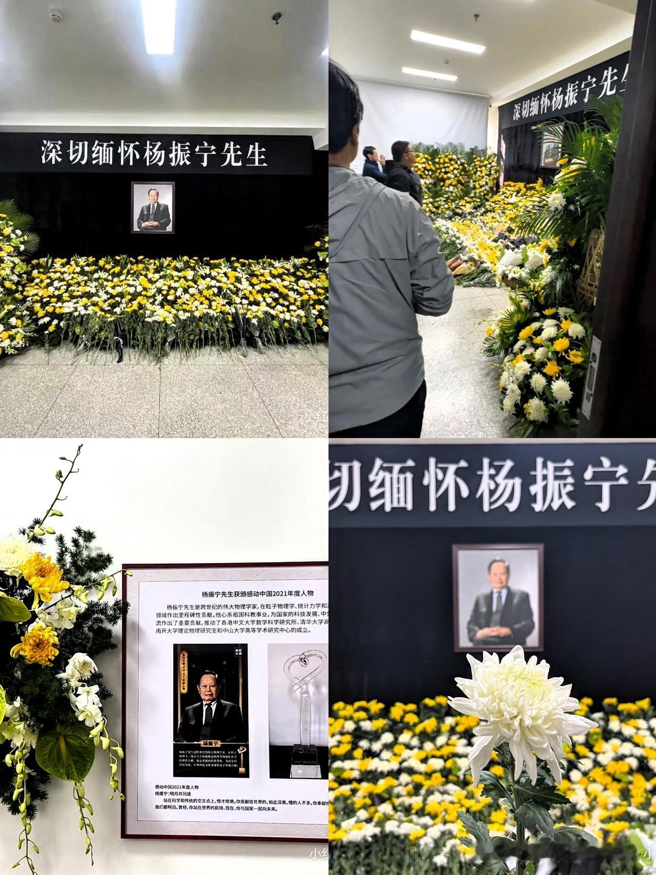 八宝山的黄白菊花，
又为一位国士低垂，

杨振宁先生的告别仪式，哪是讲规格，分明