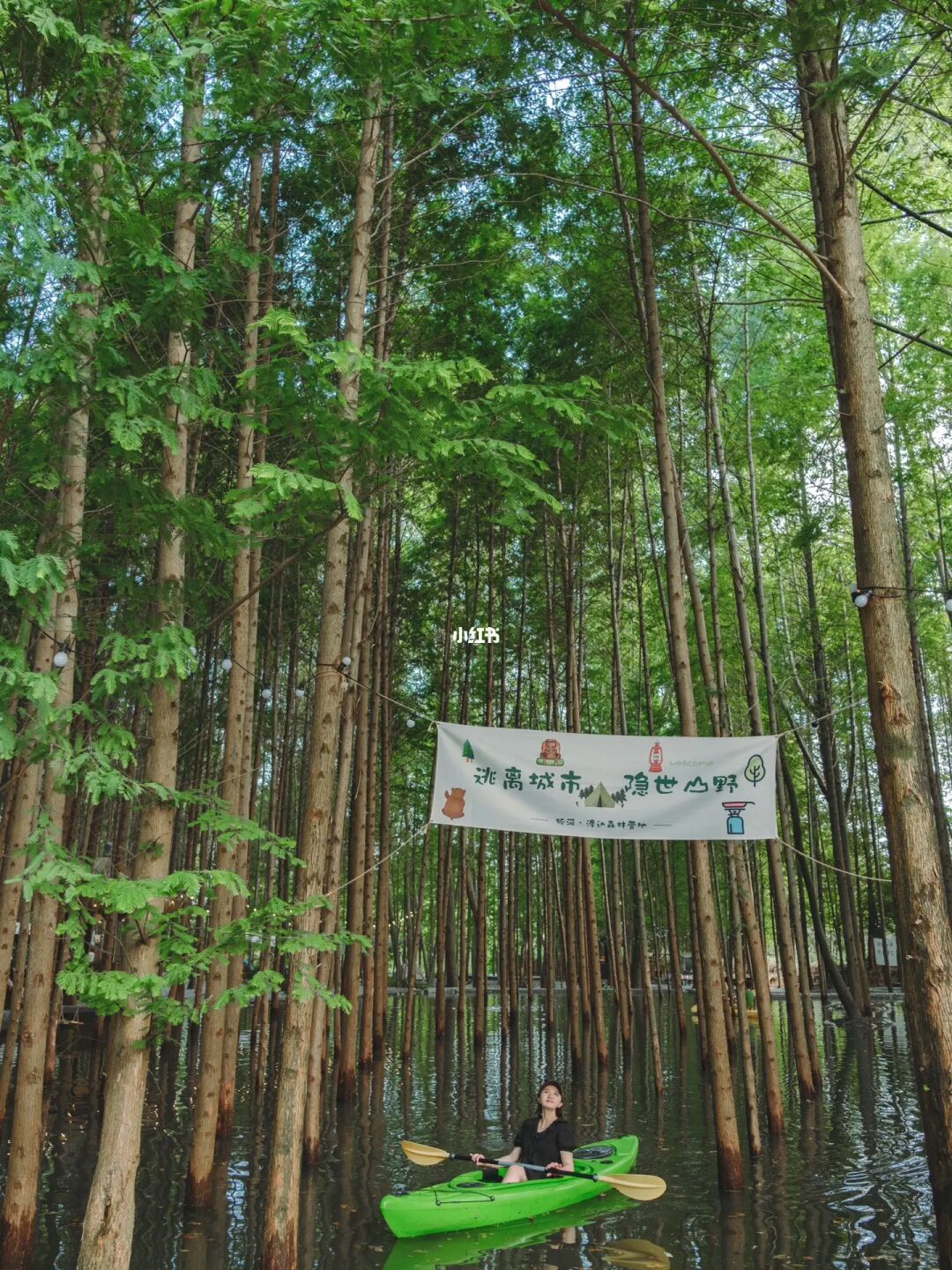 首发‼️成都避暑「水上森林」🌲遛娃耍水💦营地