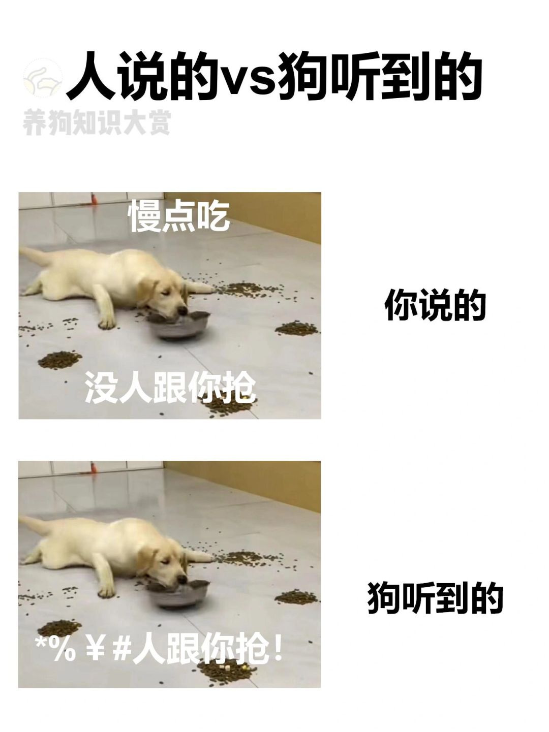 哈哈，养狗人哪有不疯的😃