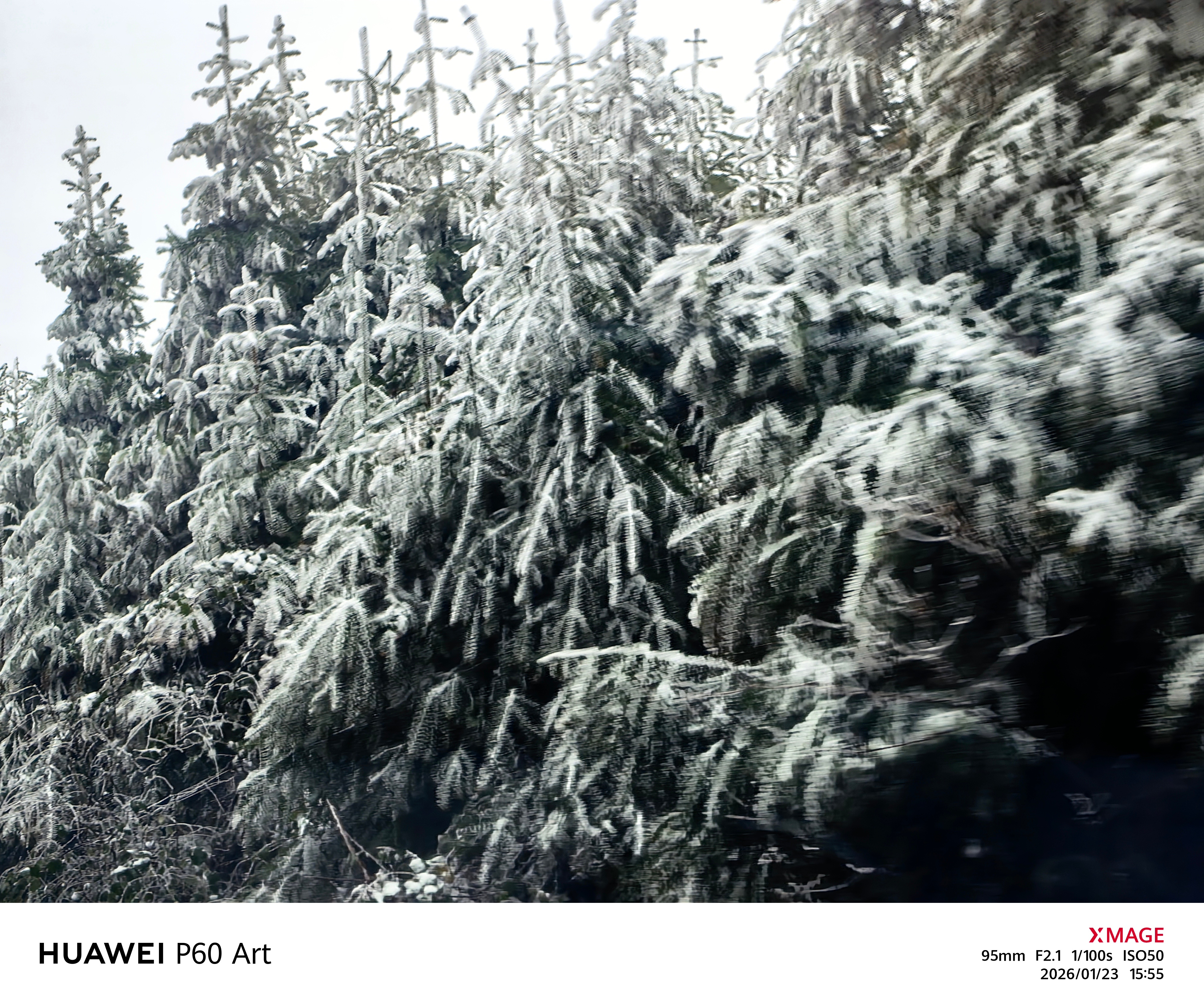 回家路上忍不住拍一下，还是有点冷的